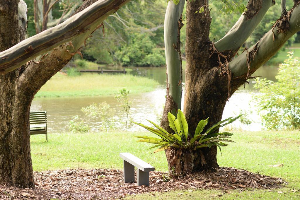 Mccarthy Lake House Maleny Eksteriør billede
